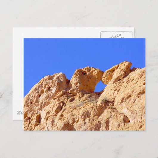 Carte Postale Camels de baiser (Devant / Derrière)