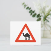 Carte Postale Camels de prudence, Signal de circulation, Émirat (Debout devant)