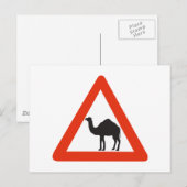 Carte Postale Camels de prudence, Signal de circulation, Émirat (Devant / Derrière)