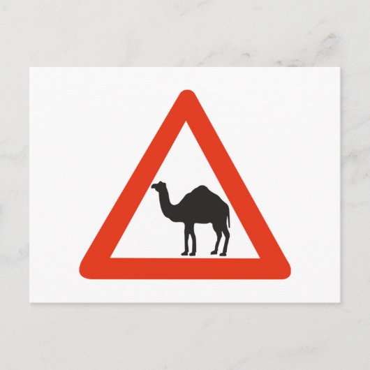 Carte Postale Camels de prudence, Signal de circulation, Émirat (Devant)