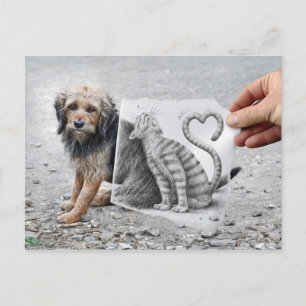Carte Postale Caméra Crayon - Chien et Chat