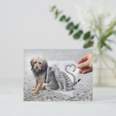 Carte Postale Caméra Crayon - Chien et Chat (Debout devant)
