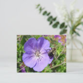 Carte Postale Camera Shy Bumble Bee (Debout devant)