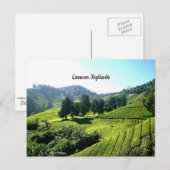 Carte Postale Cameron Highlands, Thé Plantation, Malaisie (Devant / Derrière)
