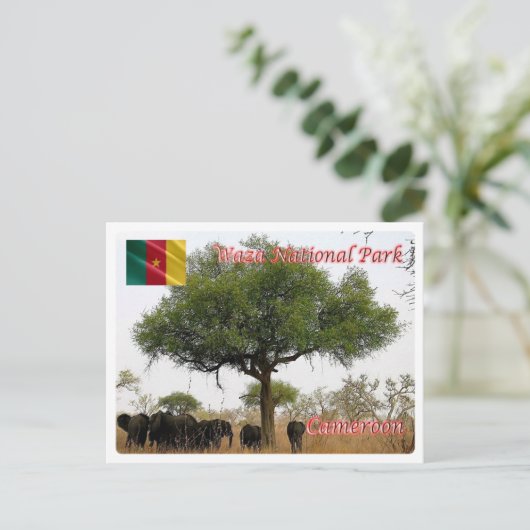 Carte Postale Cameroun - Parc national Wasa - (Debout devant)