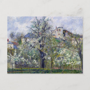 Carte Postale Camille Pissarro   Le Jardin végétal avec les arbr