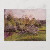 Carte Postale Camille Pissarro - Pommiers à fleurs, Eragny (Devant)