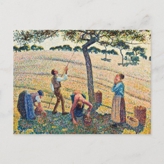 Carte Postale Camille Pissarro - Récolte de pomme (Devant)