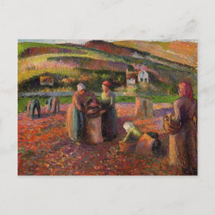 Carte Postale Camille Pissarro - Récolte de pommes de terre