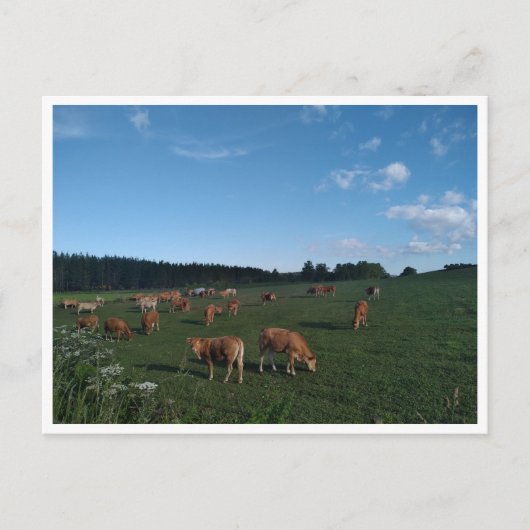 Carte Postale Camino Primitivo de Santiago (Espagne) (Devant)