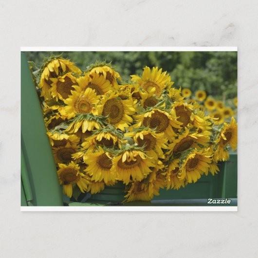 CARTE POSTALE CAMION À DÉPASSER (Dos)