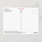 Carte Postale Camion à glace Velvet (Dos)