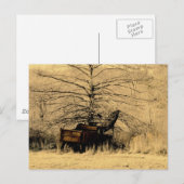 Carte Postale Camion de pompage abandonné (Devant / Derrière)