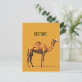 Carte Postale Camion profonds (Debout devant)