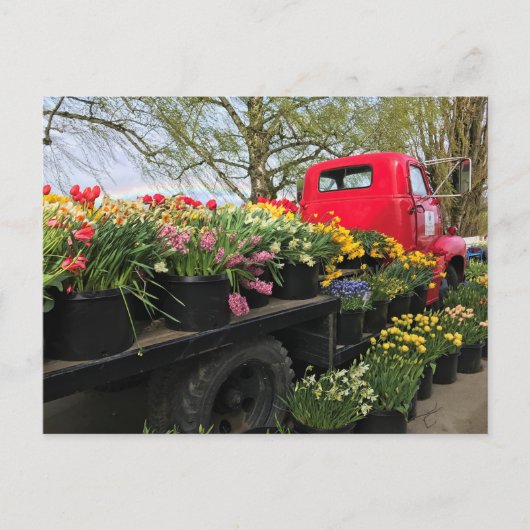 Carte Postale Camion rouge avec fleurs de printemps et arc en ci (Devant)