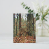 Carte Postale Camo, Cerf de Camouflage (Debout devant)