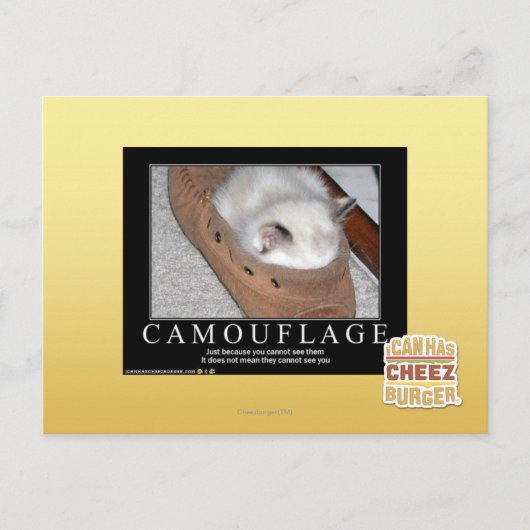 Carte Postale Camouflage (Devant)