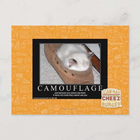 Carte Postale Camouflage (Devant)