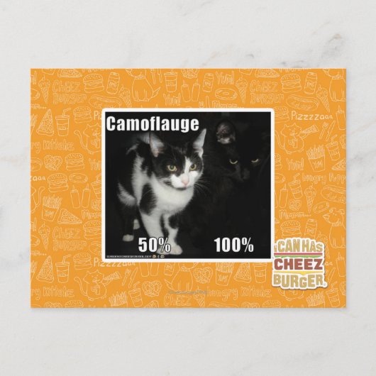 Carte Postale Camouflage (Devant)