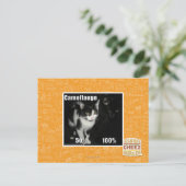Carte Postale Camouflage (Debout devant)