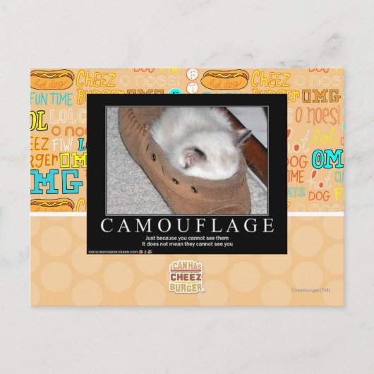 Carte Postale Camouflage (Devant)