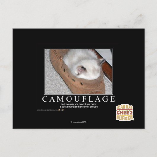 Carte Postale Camouflage (Devant)