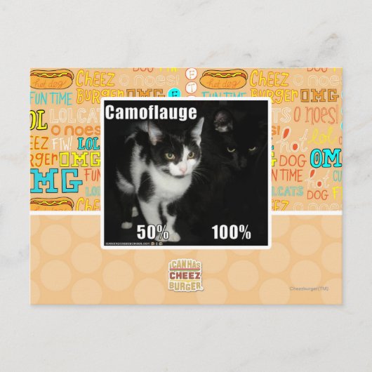 Carte Postale Camouflage (Devant)