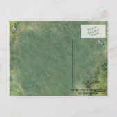 Carte postale Camouflage (Dos)