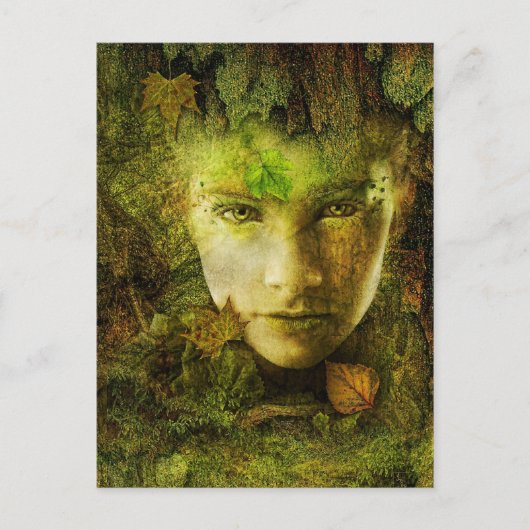 Carte postale Camouflage (Devant)