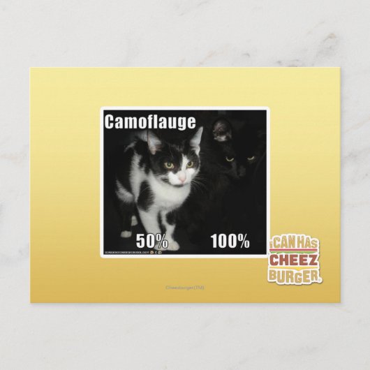 Carte Postale Camouflage (Devant)