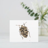 Carte Postale Camouflage Cockroach Silhouette (Debout devant)