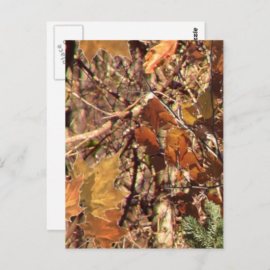 Carte Postale Camouflage de Fall Forest Bush (Devant / Derrière)