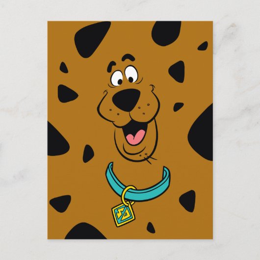 Carte Postale Camouflage Scooby-Doo (Devant)