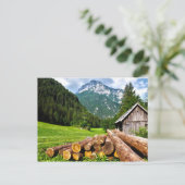 Carte Postale Camp d'exploitation forestière dans la forêt avec  (Debout devant)