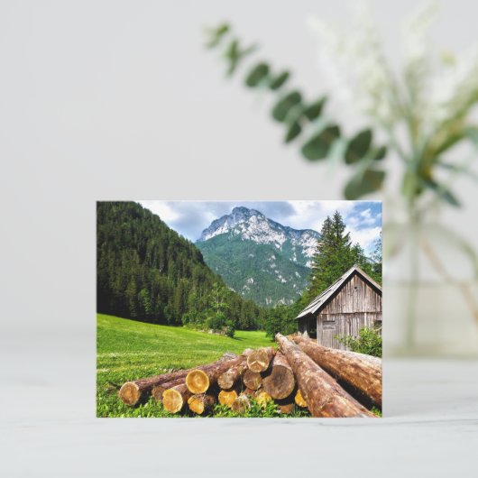 Carte Postale Camp d'exploitation forestière dans la forêt avec  (Debout devant)