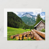 Carte Postale Camp d'exploitation forestière dans la forêt avec  (Devant / Derrière)