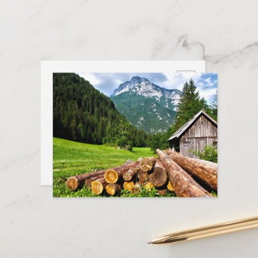 Carte Postale Camp d'exploitation forestière dans la forêt avec (Devant/Arrière en situation)
