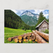 Carte Postale Camp d'exploitation forestière dans la forêt avec  (Devant)
