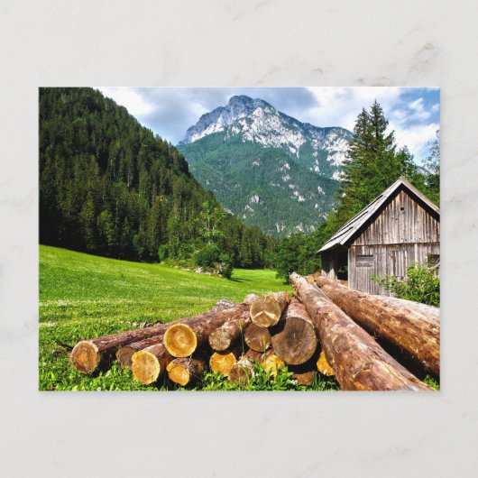 Carte Postale Camp d'exploitation forestière dans la forêt avec  (Devant)
