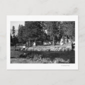 Carte Postale Camp Sherman, Oregon vue des Cabines de Rogers (Devant)