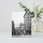 Carte Postale Camp Street, Nouvelle-Orléans : 1906 (Debout devant)