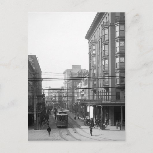 Carte Postale Camp Street, Nouvelle-Orléans : 1906 (Devant)