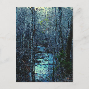 Carte Postale Camp Union