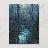 Carte Postale Camp Union (Devant)