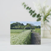 Carte Postale Campagne (Debout devant)