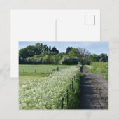 Carte Postale Campagne (Devant / Derrière)