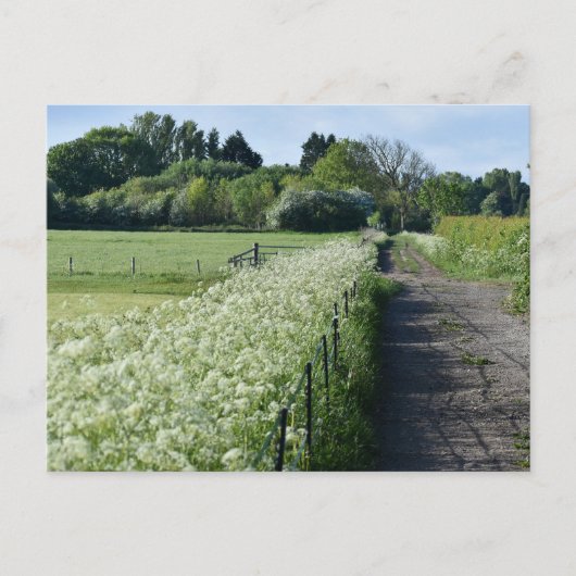 Carte Postale Campagne (Devant)