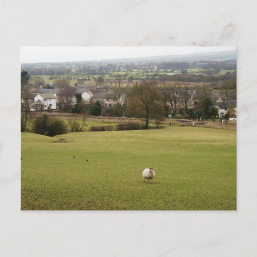 Carte Postale Campagne anglaise (Devant)