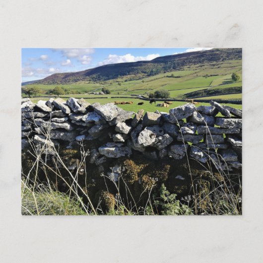 Carte Postale Campagne anglaise (Devant)