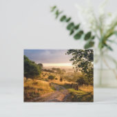 Carte Postale Campagne anglaise du soleil | d'aube (Debout devant)